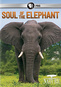 Nature: Soul of the Elephant