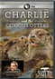Nature: Charlie & The Curious Otters